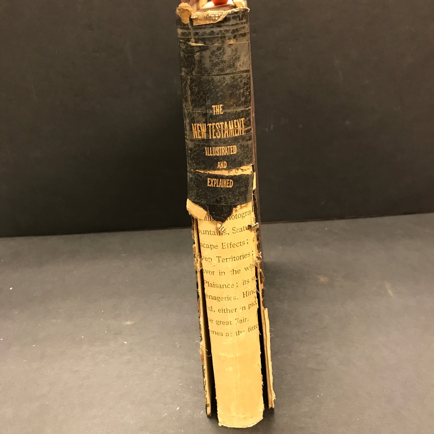 The New Testament - Various - Includes Map - 1895