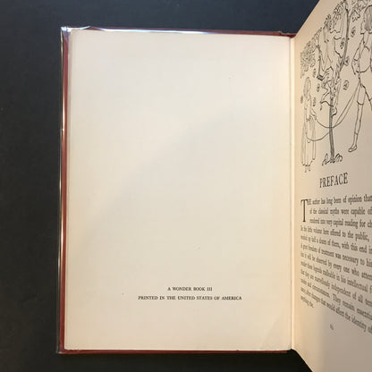 Hawthorne's Wonder Book - Nathaniel Hawthorne - 1st Thus - 1928