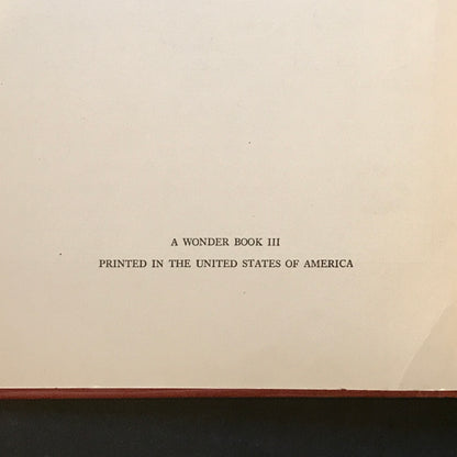 Hawthorne's Wonder Book - Nathaniel Hawthorne - 1st Thus - 1928