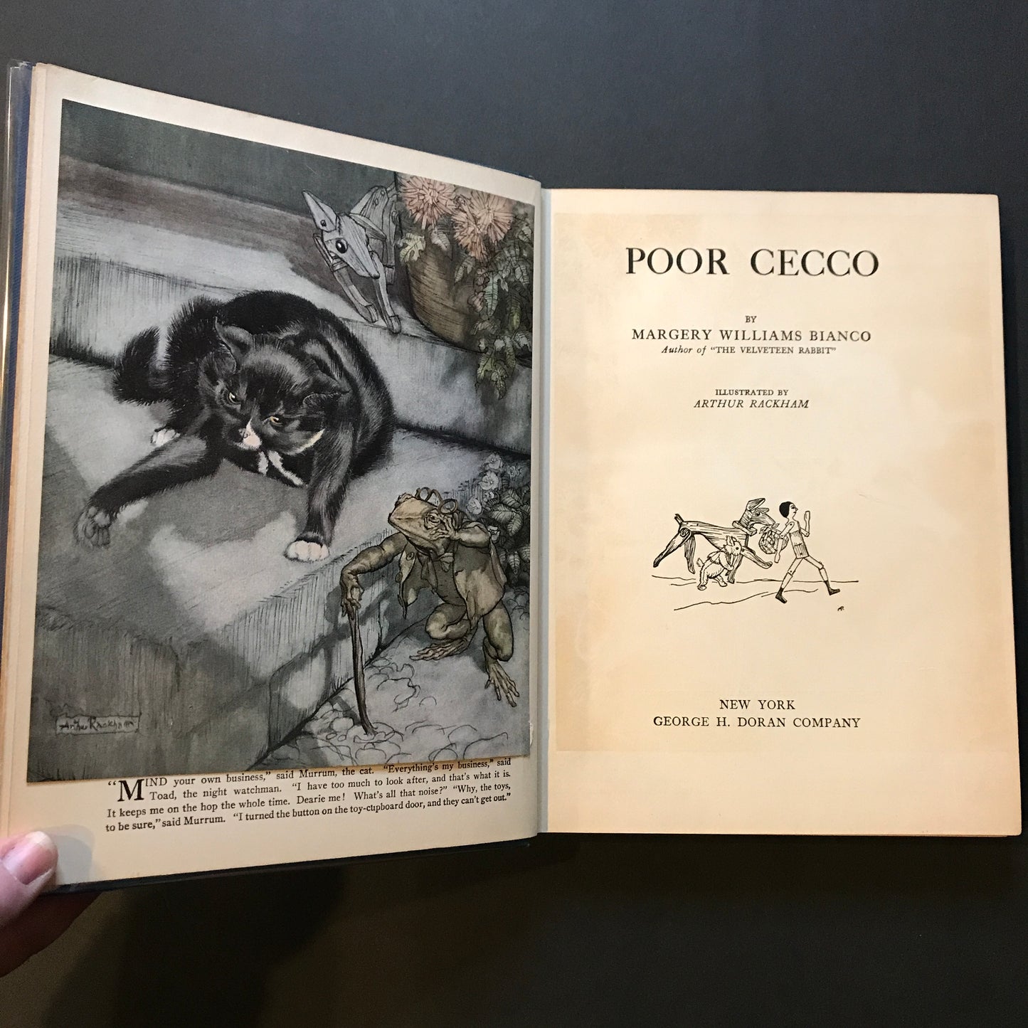 Poor Cecco - Margery Williams Bianco - Early Print - Colored Rackham Illustrations - 1925