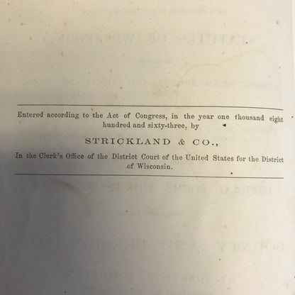The New Wisconsin Form Book - Joseph McMullon - 1863