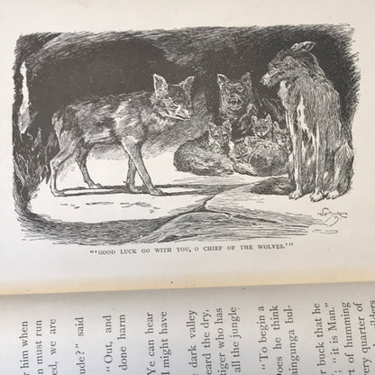 The Jungle Book - Rudyard Kipling - 1906