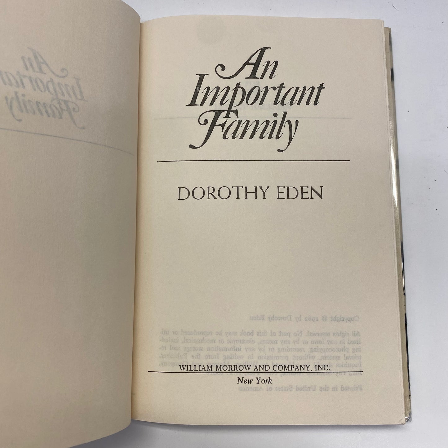 An Important Family - Dorothy Eden - Book Club Edition - 1982
