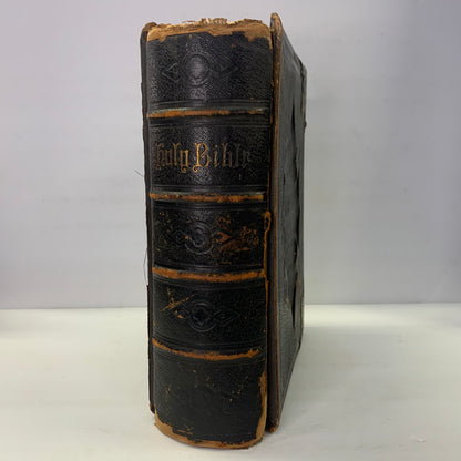 The Holy Bible - Various - Illustrated - c. 1880’s