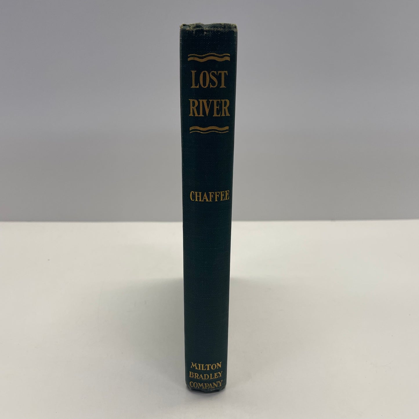 Lost River or Two Boys in the Big Woods - Allen Chaffee - 1920